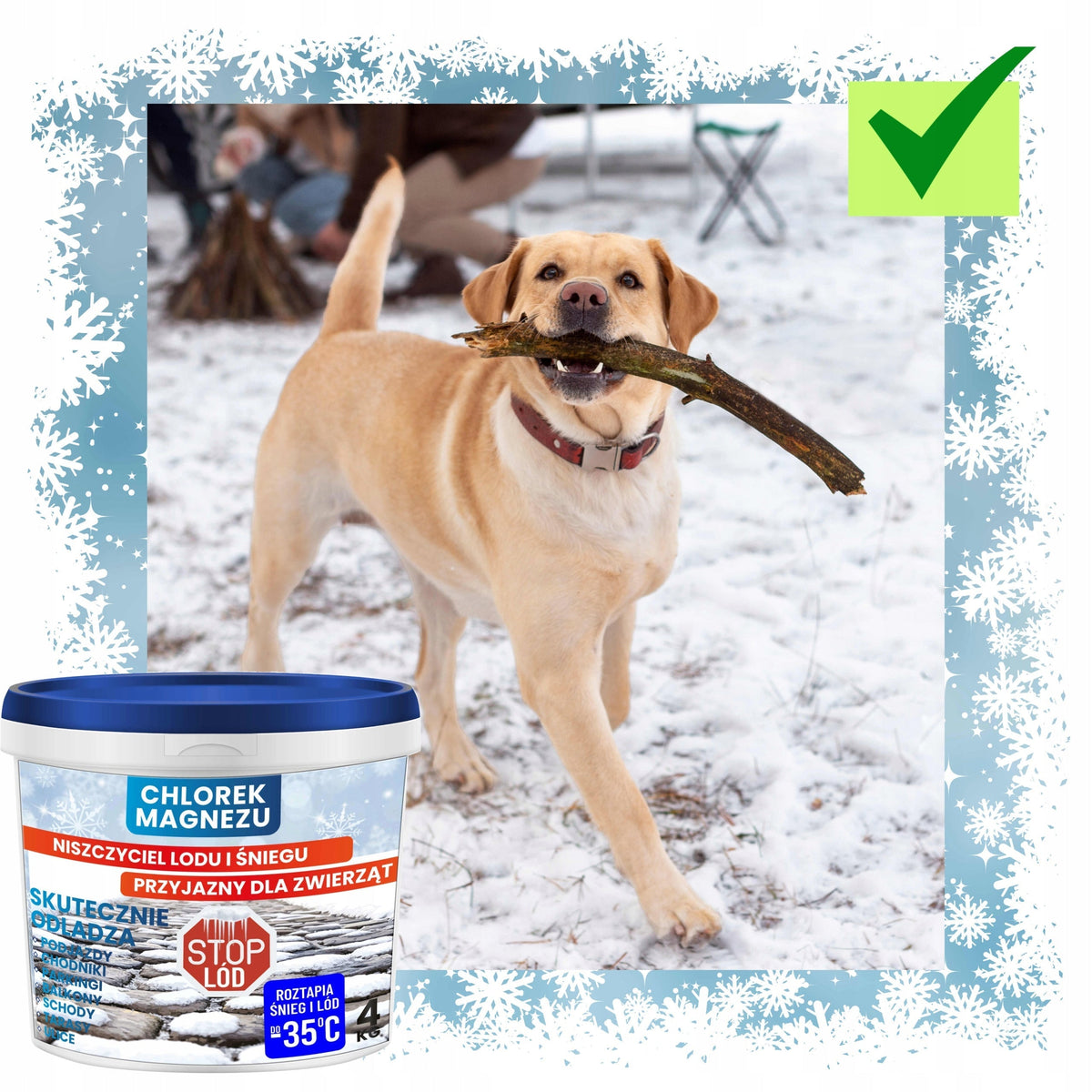 CLORURO DI MAGNESIO 10 KG – antigelo, migliore del sale antigelo e sicuro per gli animali!